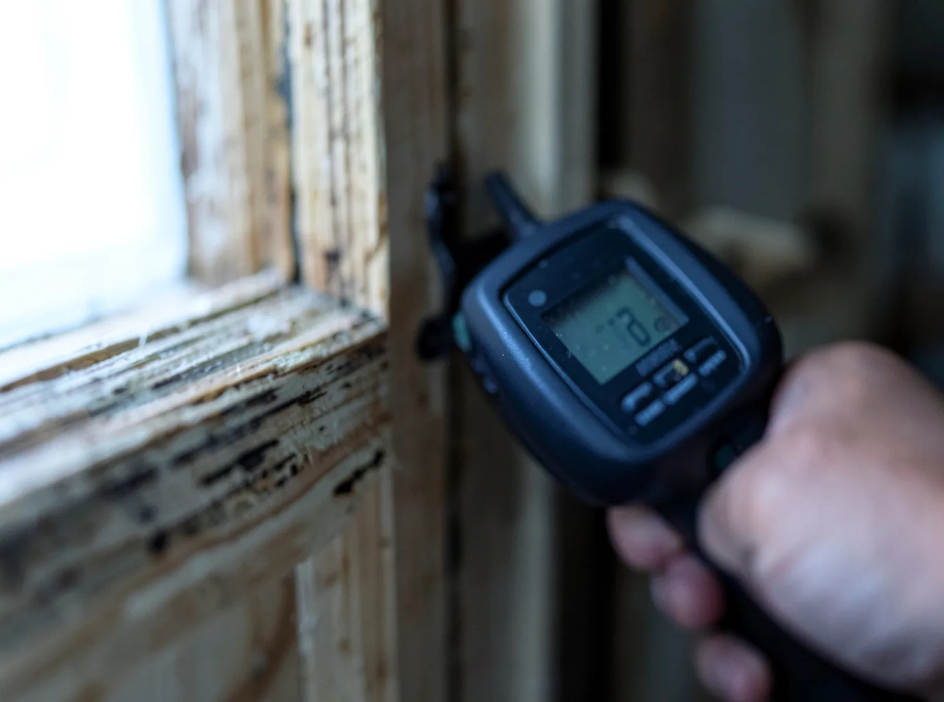 Moisture Inspection And Documentation in Sycamore, AL
